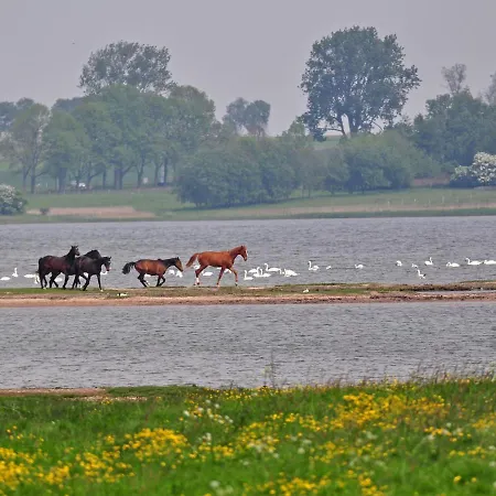 Gollwitzer Park - Insel Poel-4 By Interhome * Gollwitz