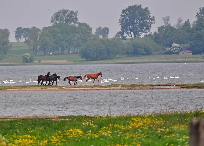 Gollwitzer Park - Insel Poel-4 By Interhome * Gollwitz